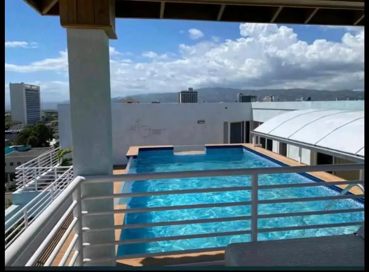 公寓 Joy Luxury Estate Kingston公寓